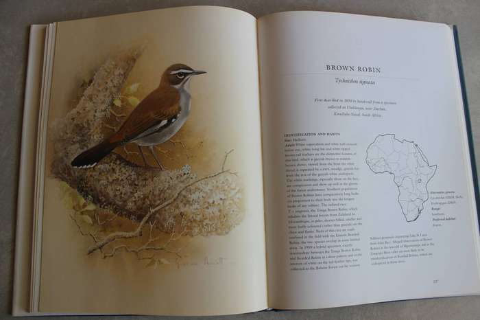 Robins of Africa / Terry Oatley & Graeme Arnot
