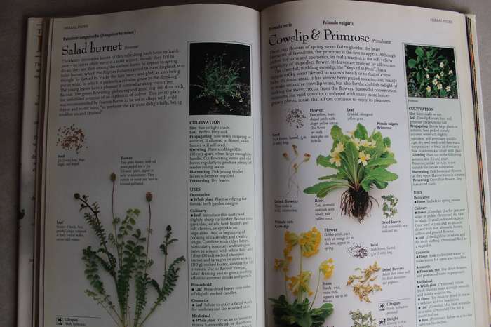 Complete book of Herbs - Bremness / A Practical Guide to Growing and Using Herbs
