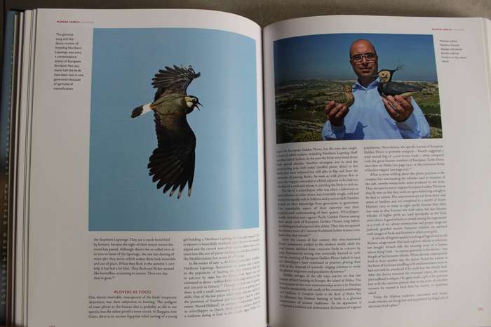 Birds and People Hardcover   Mark Cocker (Author), David Tipling