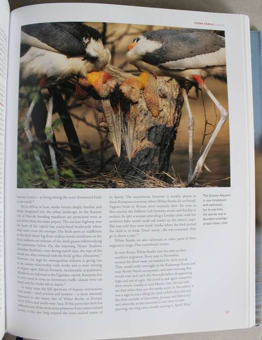 Birds and People Hardcover   Mark Cocker (Author), David Tipling
