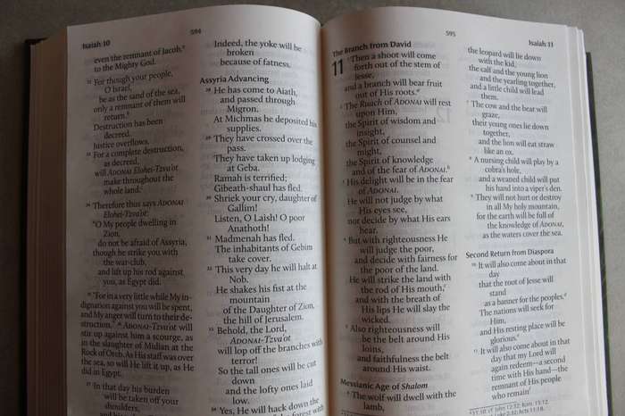 BIBLE Large Print Holy Scriptures reference edition