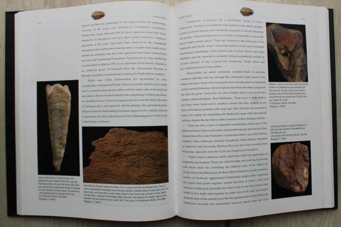 LIFE ETCHED IN STONE - FOSSILS OF SOUTH AFRICA /  COLIN MACRAE