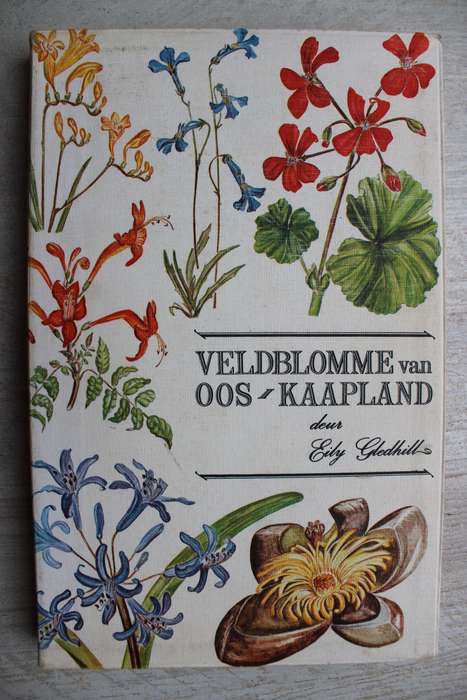 VELDBLOMME VAN OOS-KAAPLAND deur Eily Gledhill
