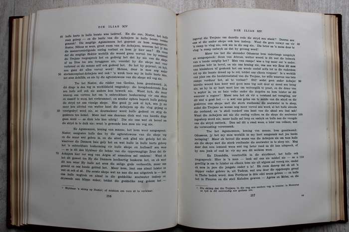 HOMERUS: DIE ILIAS UIT DIE OORSPRONKLIKE GRIEKS VERTAAL deur J.P.J. VAN RENSBURG