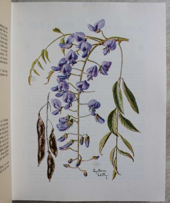 Veld and Flora in leather binding