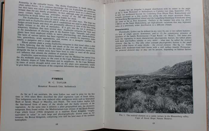 Veld and Flora in leather binding