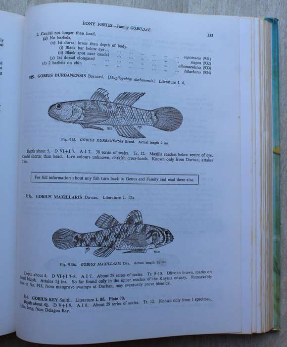 Smith's Sea Fishes - Professor J L B Smith