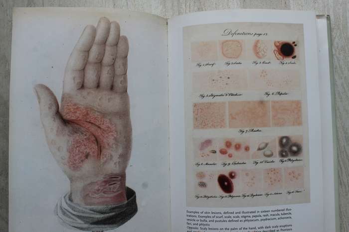 Human Anatomy: Depicting the Body from the Renaissance to Today  - Rifkin
