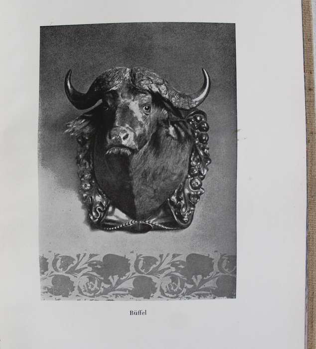 Jagden am Oberen Nil - Berthold Kortin  /  Hunting