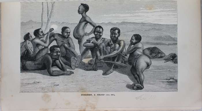 Explorations in South-West Africa -  Thomas Baines