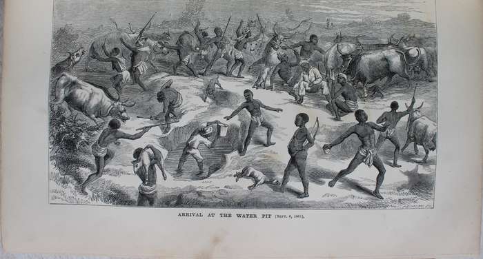 Explorations in South-West Africa -  Thomas Baines