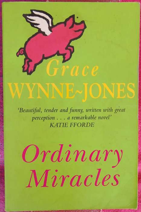 Ordinary Miracles