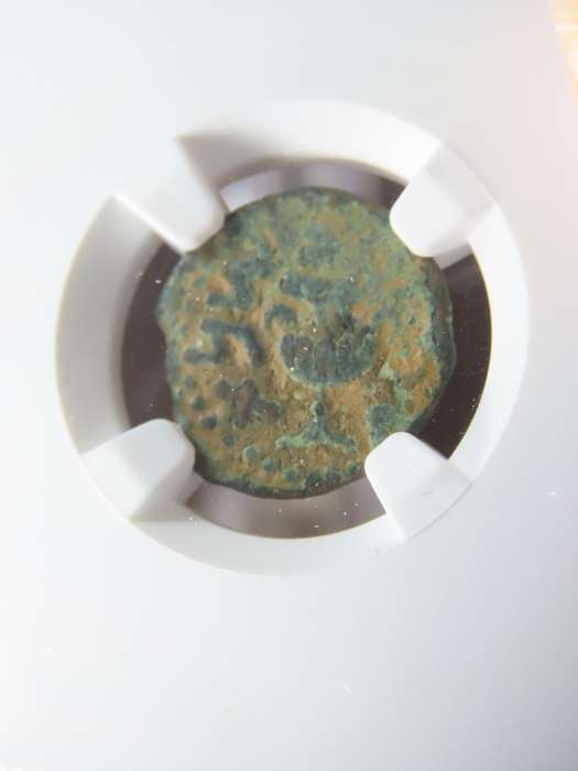 Ancient Judaea Prutah Coin, 66 to 70 AD NGC F, 1st Jewish Revolt