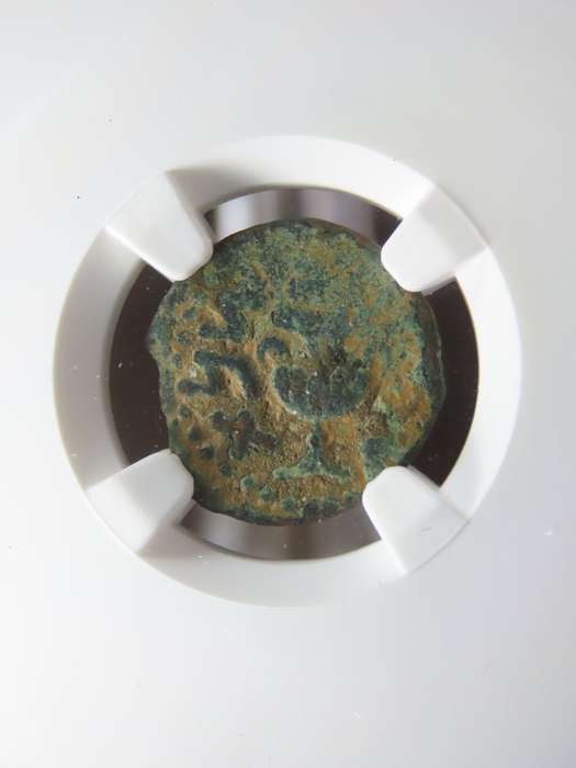 Ancient Judaea Prutah Coin, 66 to 70 AD NGC F, 1st Jewish Revolt