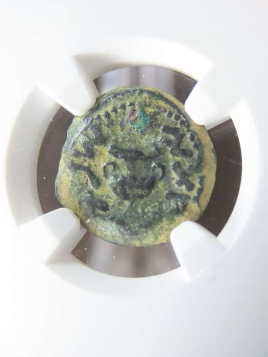 Ancient Judaea Prutah Coin, 66 to 70 AD NGC F, 1st Jewish Revolt