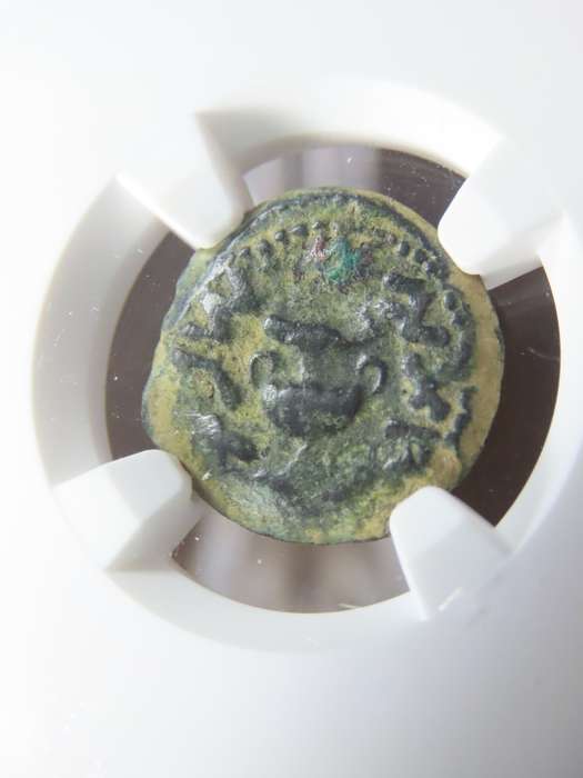 Ancient Judaea Prutah Coin, 66 to 70 AD NGC F, 1st Jewish Revolt