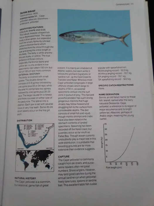 A Guide to the Common Sea Fishes of Southern Africa - Rudy van der Elst. Signed.