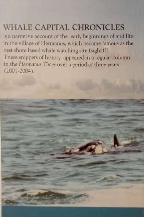 Whale Capital Chronicles 1 by SJ du Toit - Hermanus