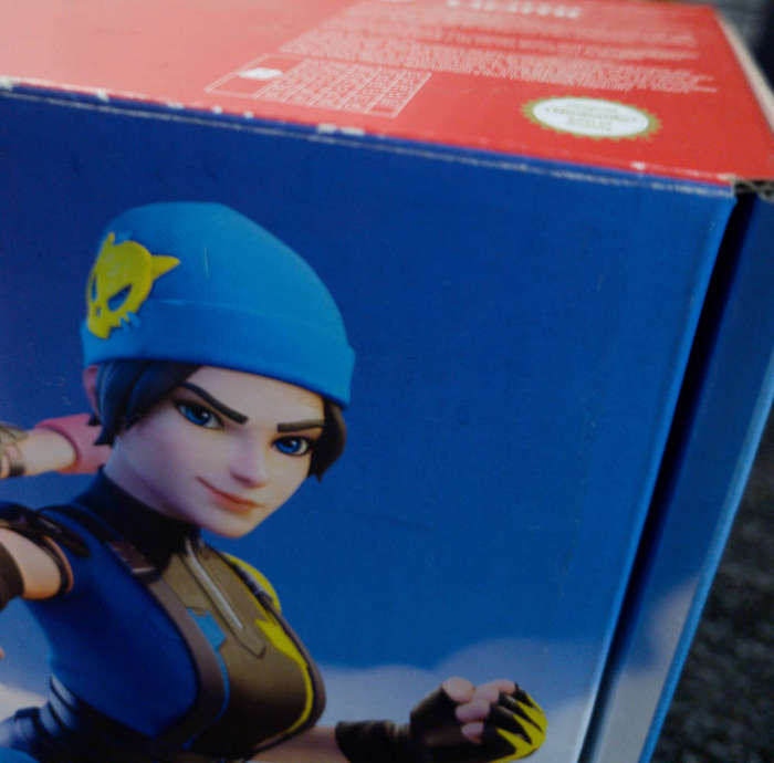 Nintendo Switch (NS)- Wildcat Bundle