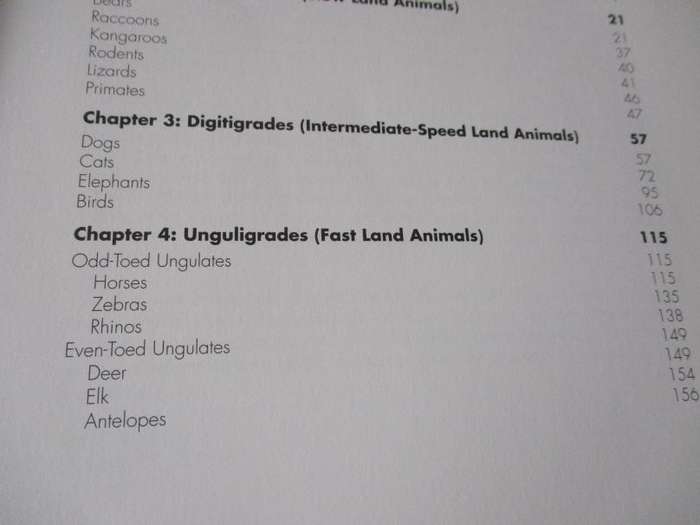 FORCE ANIMAL DRAWING - MICHAEL D MATTESI - ANIMAL LOCOMOTION AND DESIGN CONCEPTS FOR ANIMATORS