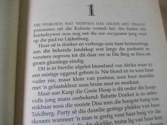 BABETTE - JEANETTE FERREIRA