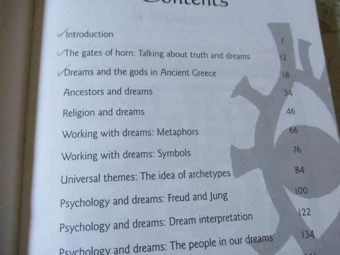 THE BOOK OF DREAMS - ELZAN FRANK