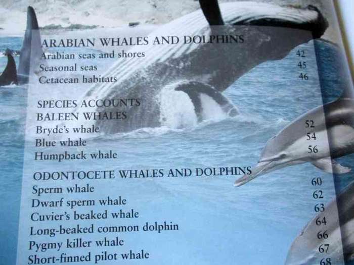 WHALES & DOLPHINS OF ARABIA BY ROBERT BALDWIN