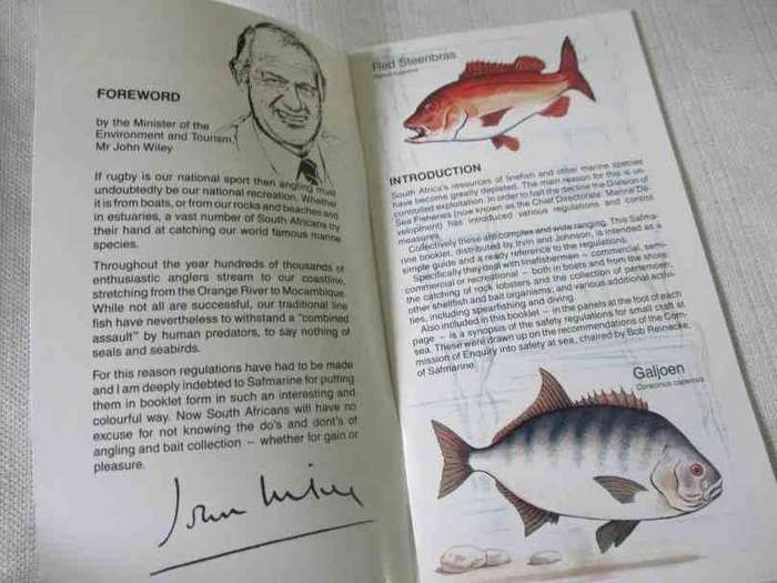 SAFMARINE GUIDE TO THE PROTECTION OF SOUTH AFRICA'S MARINE LIFE ( 80's )