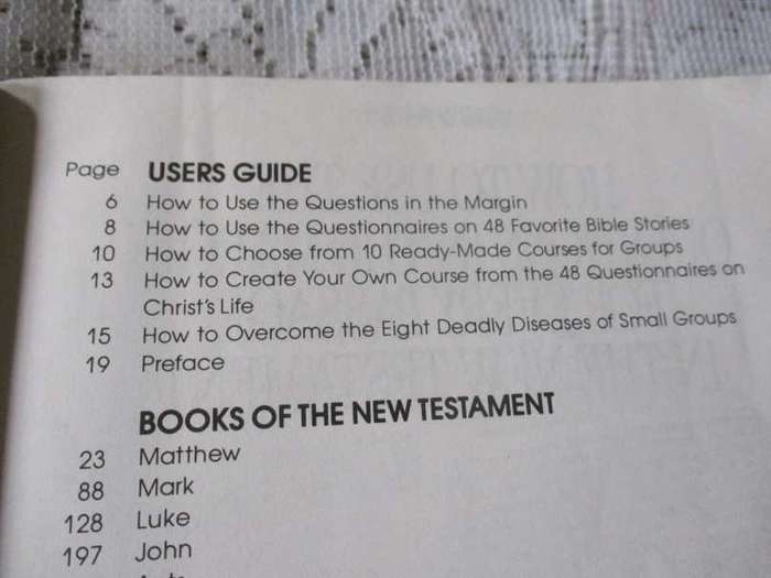 SERENDIPITY NEW TESTAMENT FOR GROUPS