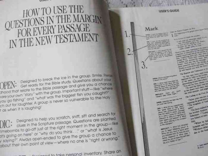 SERENDIPITY NEW TESTAMENT FOR GROUPS