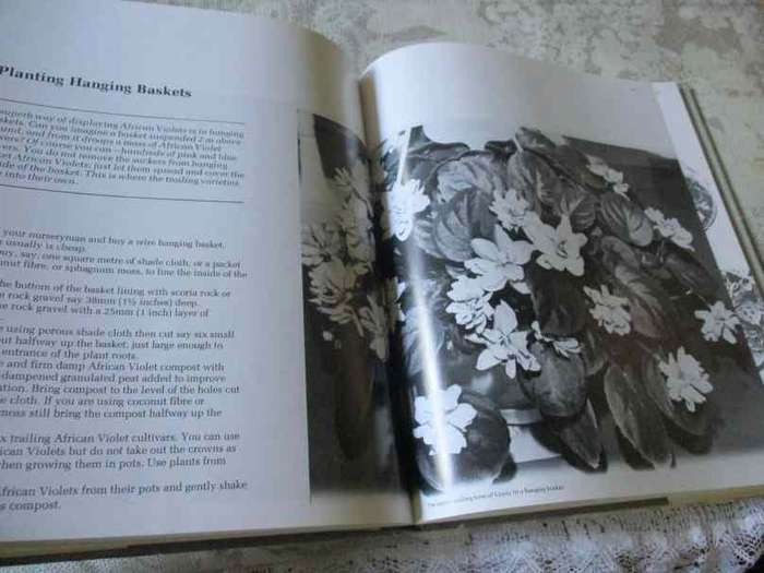 THE COLOURFUL WORLD OF AFRICAN VIOLETS - A.G.W. SIMPSON