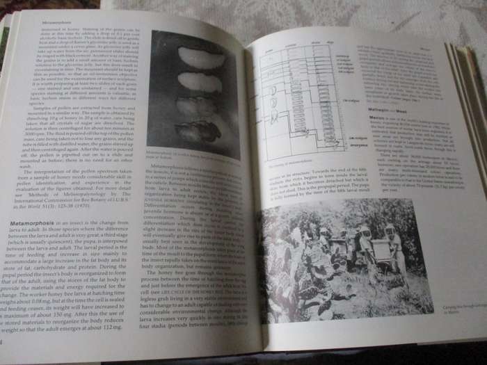 THE ILLUSTRATED ENCYCLOPEDIA OF BEEKEEPING - ROGER MORSE AND TED HOOPER