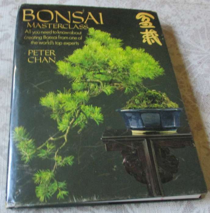 BONSAI MASTERCLASS - PETER CHAN