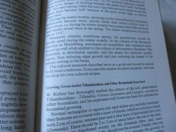 THE BROMELIAD LEXICON - WERNER RAUH
