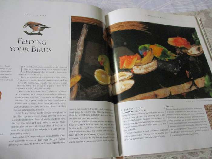 CAGE &  AVIARY BIRD HANDBOOK -TONY TILFORD