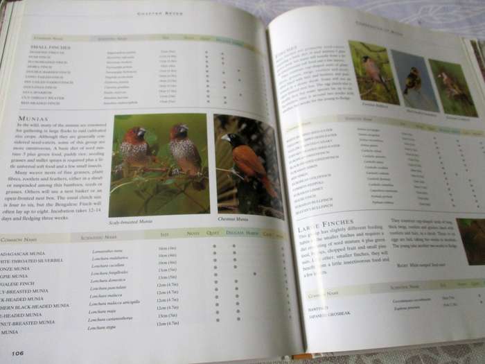 CAGE &  AVIARY BIRD HANDBOOK -TONY TILFORD