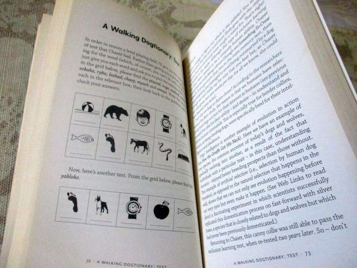 ARE YOU SMARTER THAN A CHIMPANZEE ? - TEST YOURSELF AGAINST THE AMAZING MINDS OF ANIMALS - BEN ...