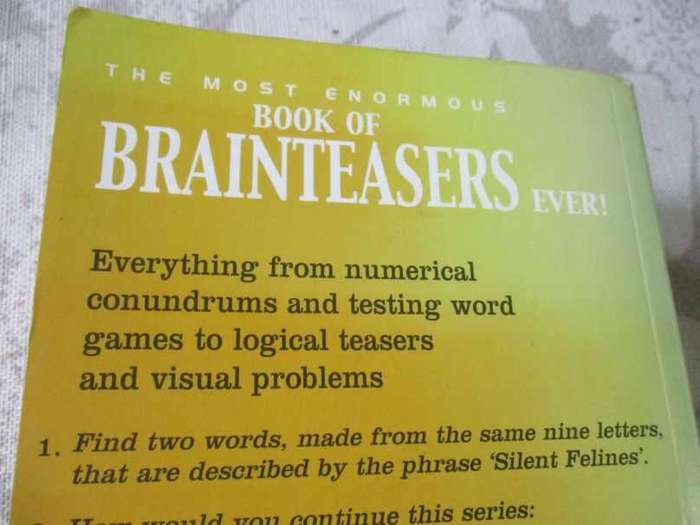 THE MOST ENORMOUS BOOK OF BRAINTEASERS EVER !