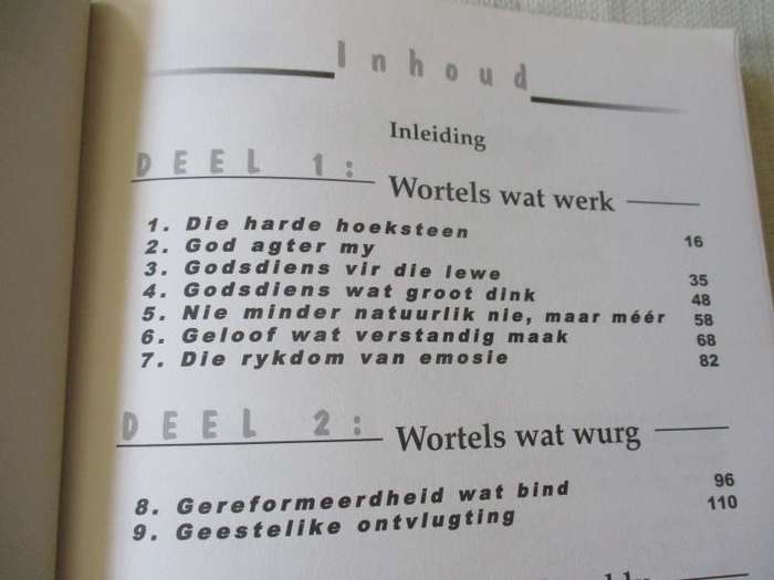 GODSDIENS WAT WERK - ONTDEK DIE SOORT GODSDIENS WAT VIR JOU DIE BESTE WERK - WILLEM NICOL