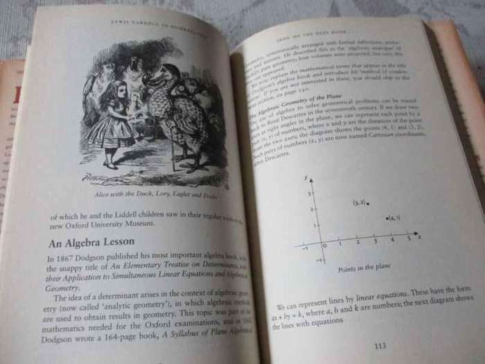 LEWIS CARROLL IN NUMBERLAND - HIS FANTASTICAL MATHEMATICAL LOGICAL LIFE - ROBIN WILSON