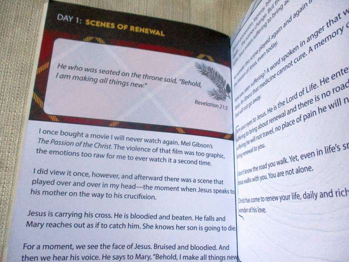 MAN OF GOD RENEWED FOR LIFE - 25 DEVOTIONS - DAVID R SCHMITT