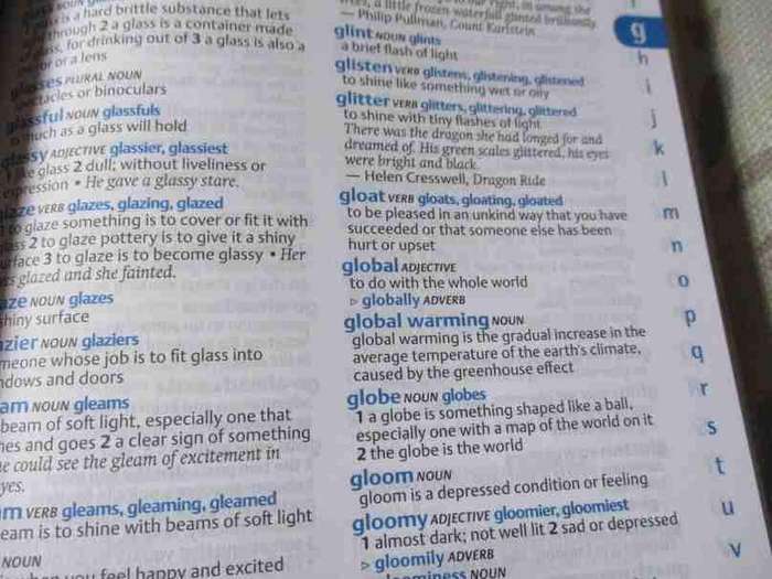OXFORD PRIMARY DICTIONARY