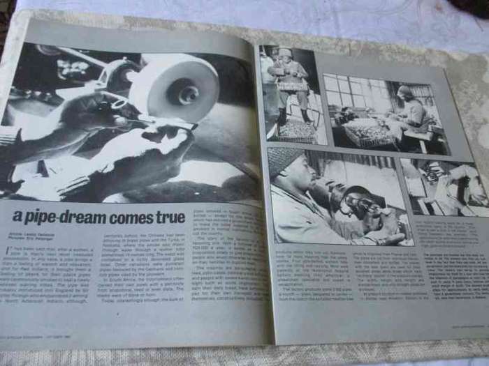 S.A. PANORAMA MAGAZINE OCTOBER 1980 ( paul rose - artist )
