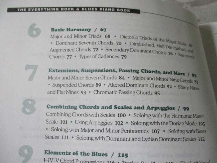 THE EVERYTHING ROCK & BLUES PIANO BOOK - MASTER RIFFS, LICKS AND BLUES STYLES FROM NEW ORLEANS TO NY