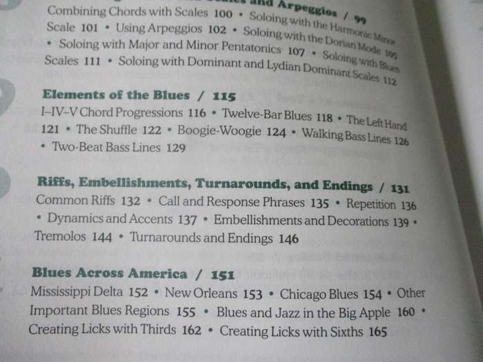 THE EVERYTHING ROCK & BLUES PIANO BOOK - MASTER RIFFS, LICKS AND BLUES STYLES FROM NEW ORLEANS TO NY