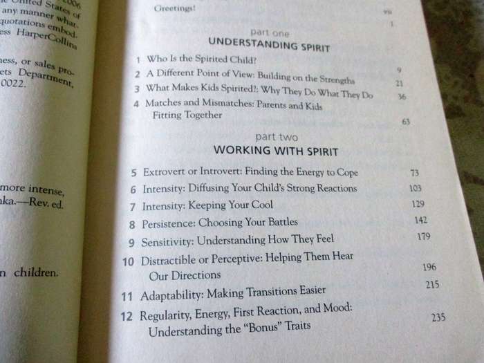 RAISING YOUR SPIRITED CHILD - A GUIDE FOR PARENTS WHOSE CHILD IS MORE INTENSE,  MARY SHEEDY KURCINKA