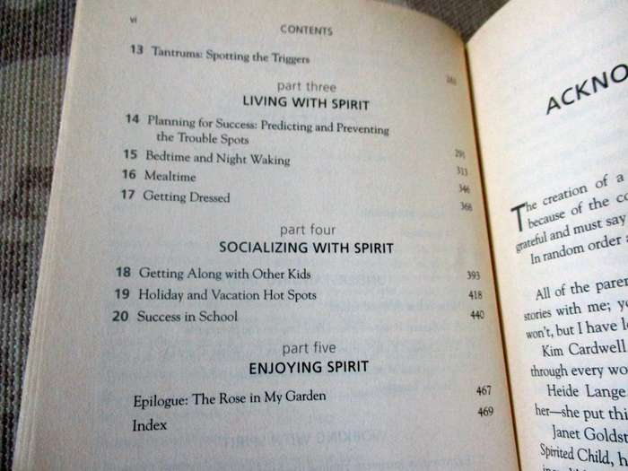 RAISING YOUR SPIRITED CHILD - A GUIDE FOR PARENTS WHOSE CHILD IS MORE INTENSE,  MARY SHEEDY KURCINKA