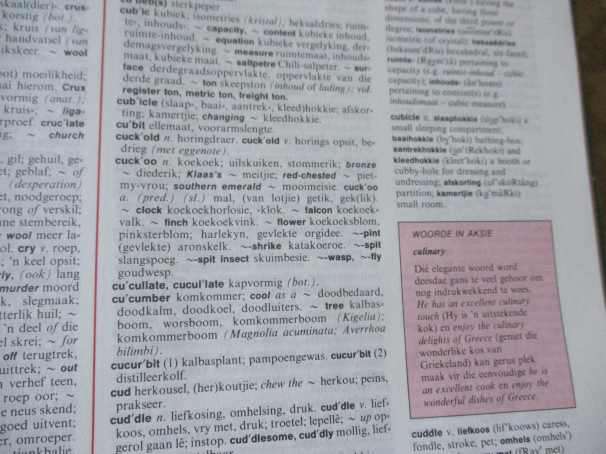 READER'S DIGEST AFRIKAANS - ENGELSE WOORDEBOEK / ENGLISH - AFRIKAANS DICTIONARY