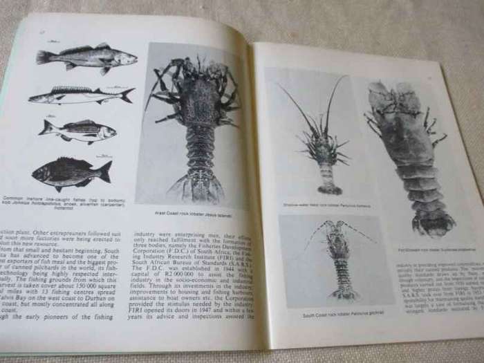 SEA FISHERIES PANORAMA - INFO. ON SOUTH AND SOUTH WEST AFRICAN MARINE FISHERIES ..  ( 1978 )