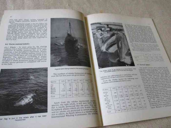 SEA FISHERIES PANORAMA - INFO. ON SOUTH AND SOUTH WEST AFRICAN MARINE FISHERIES ..  ( 1978 )
